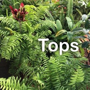 Tops section